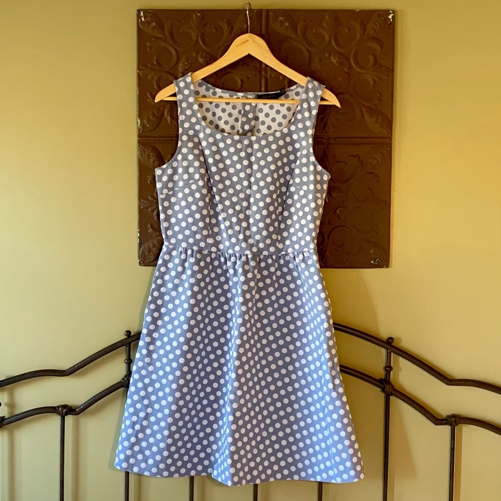 NWT The Limited Polka Dot Dress